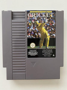 International Cricket